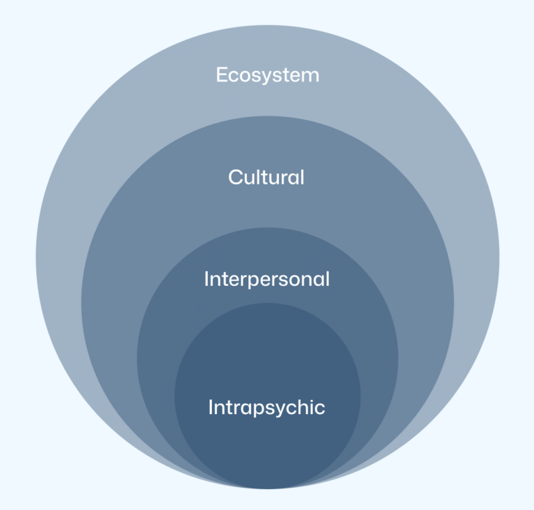 A series of concentric circles, the largest is labeled ecosystem, second largest is cultural, third largest is interpersonal, and the smallest is intrapsychic.