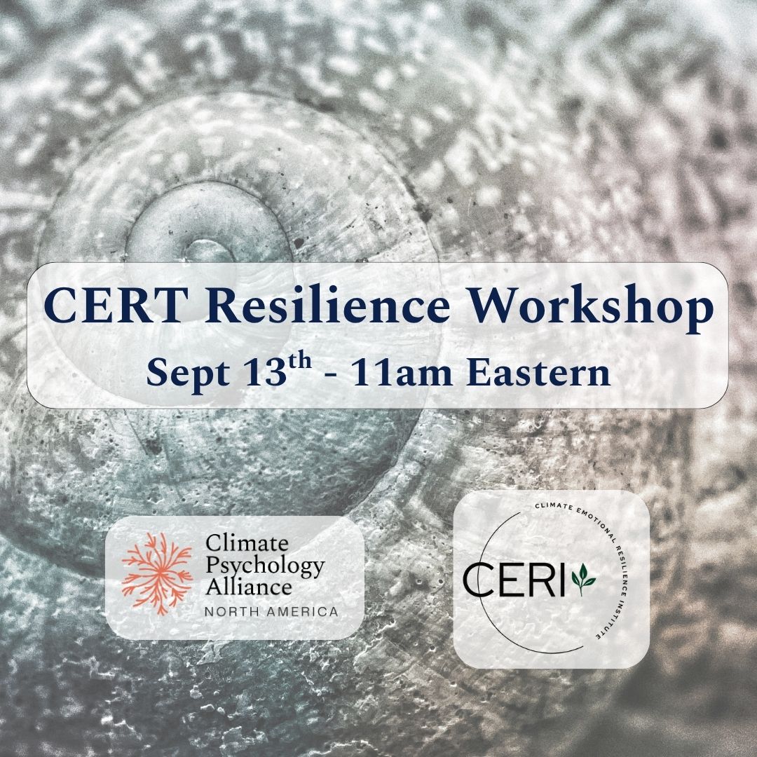CERT Resilience Workshop