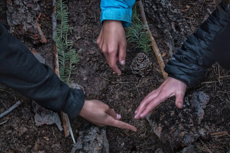 Three hands of different ethnicities are interacting with the soil in a forest.